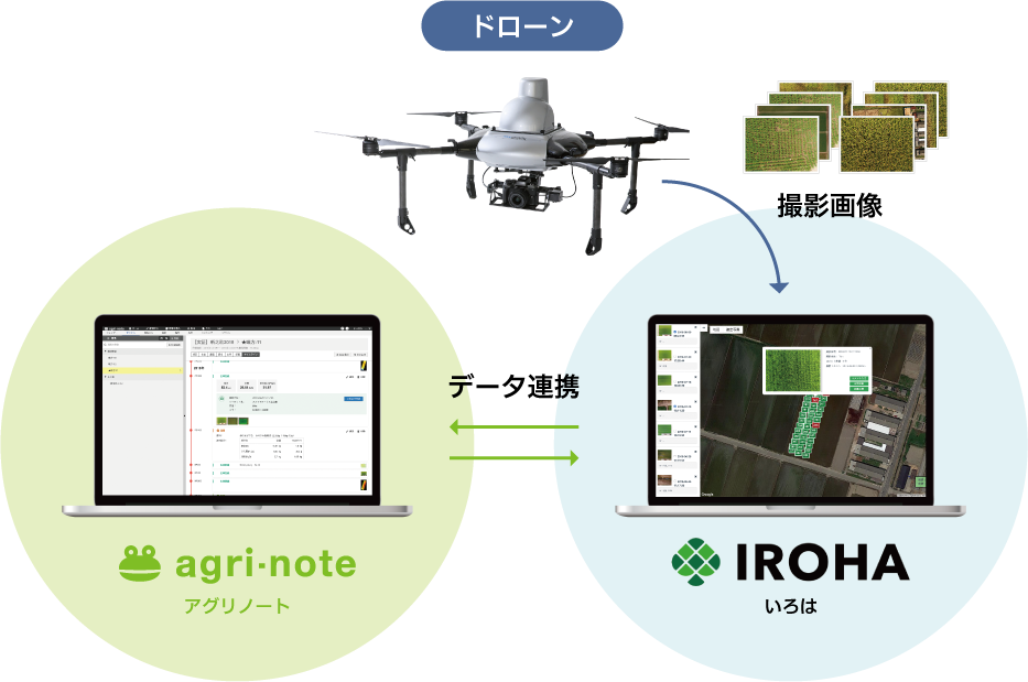 葉色解析サービス いろは 営農管理ツール アグリノート 連携オプションサービス開始のお知らせ Smx Media スカイマティクスメディア 株式会社スカイマティクス Skymatix